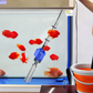 🐠 Elektrischer Aquarium-Reiniger mit Wasserfilter – Automatischer Mulmsauger für Wasserwechsel und Bodengrundreinigung