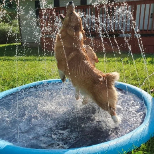 🔥49% Rabatt🔥Rutschfeste Wasserspielmatte (für Kinder & Hunde)