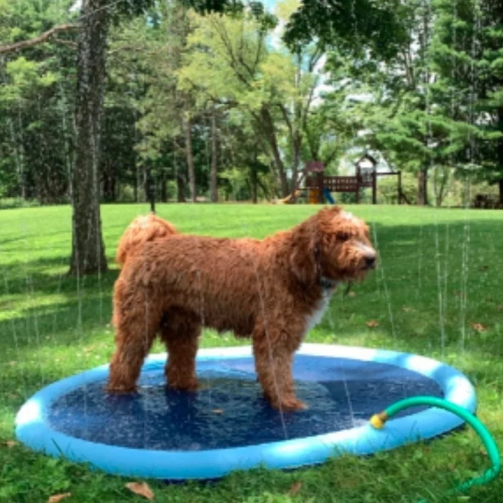 🔥49% Rabatt🔥Rutschfeste Wasserspielmatte (für Kinder & Hunde)