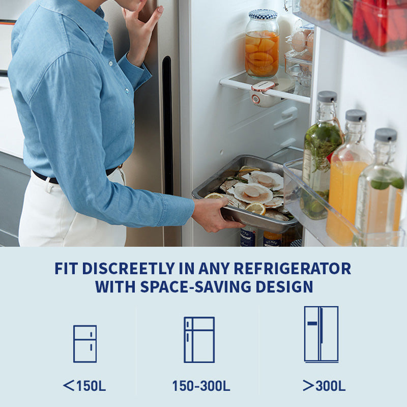 Mini-Deodorierer für den Kühlschrank – Neutralisiert Gerüche & hält Lebensmittel frisch