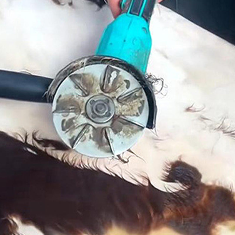 Arbeitssparende Schweinehaarentferner-Schaberscheibe