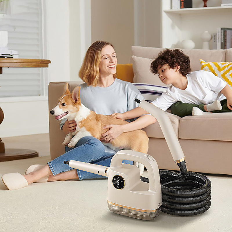 Tragbares Hochtemperatur-Dampfreiniger-Set