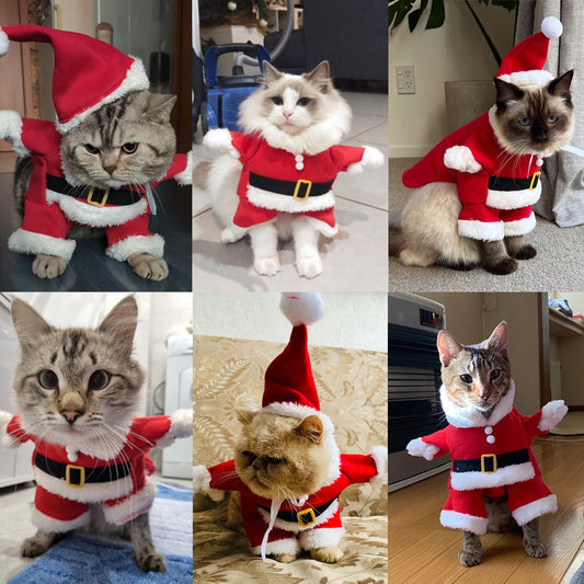 🎅Niedliche Weihnachts-Outfits für Hunde & Katzen – Mach dein Haustier winterbereit!