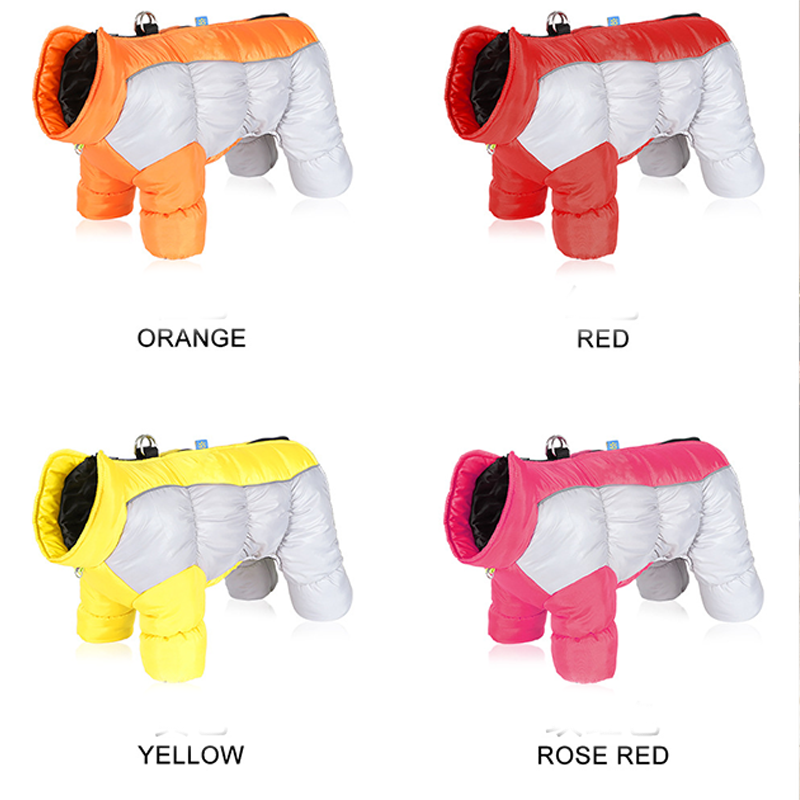 ❄️ Winterangebot: 50% Rabatt! – Wasserdichte reflektierende Winterjacke für kleine Hunde, warm gefüttert & bequem