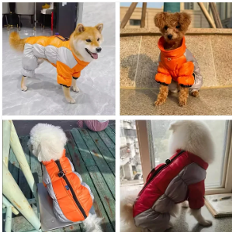 ❄️ Winterangebot: 50% Rabatt! – Wasserdichte reflektierende Winterjacke für kleine Hunde, warm gefüttert & bequem