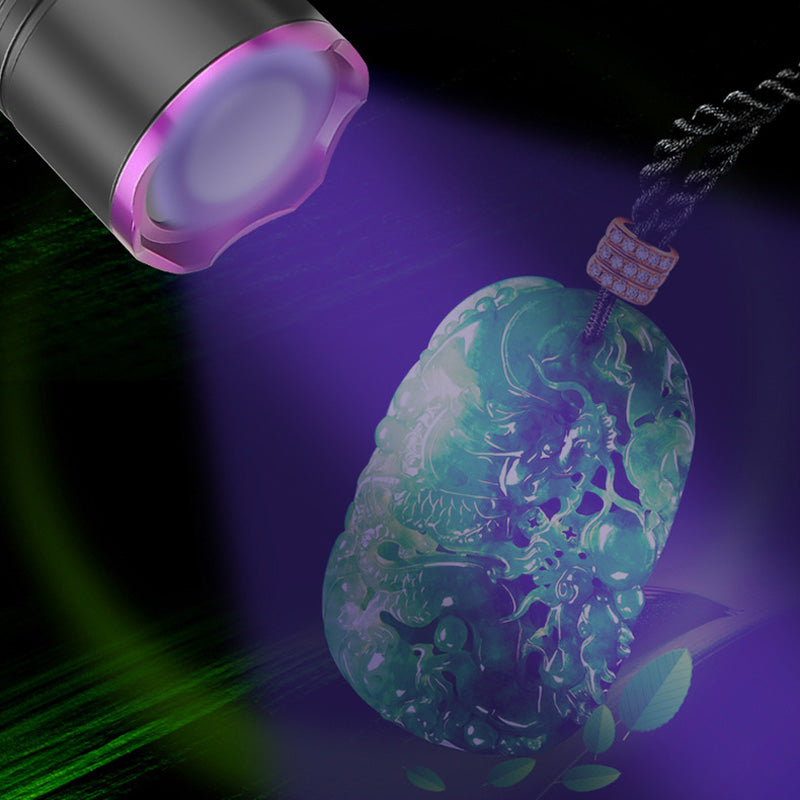 ✨40 % RABATT✨Wiederaufladbare Multifunktions-UV-Taschenlampe