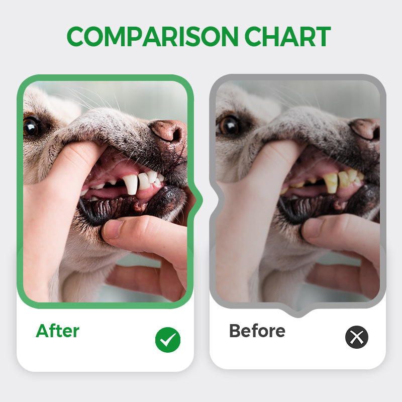 ⌛ Nur noch 3 Tage – 50 % auf alles! ⏰ Haustier-Atemfreshener Whitening Cleaning Pen