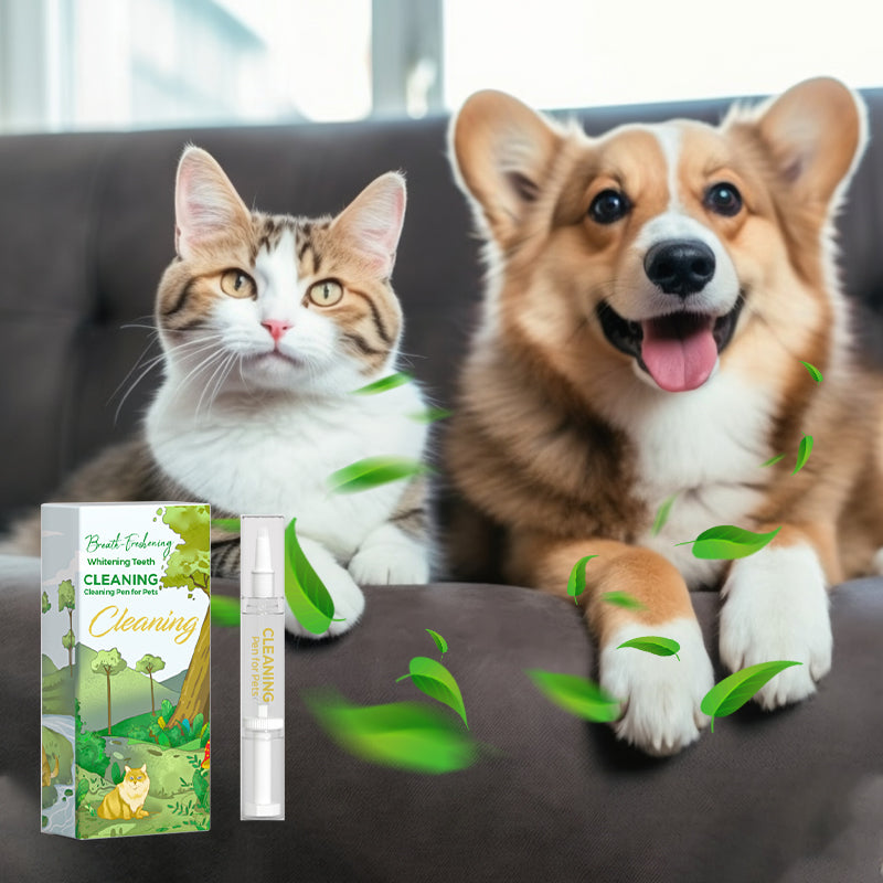 ⌛ Nur noch 3 Tage – 50 % auf alles! ⏰ Haustier-Atemfreshener Whitening Cleaning Pen
