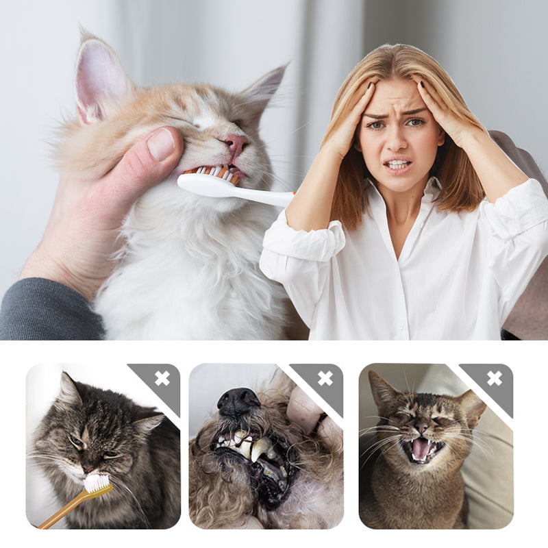 ⌛ Nur noch 3 Tage – 50 % auf alles! ⏰ Haustier-Atemfreshener Whitening Cleaning Pen