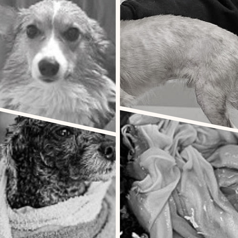 Schnelltrocknendes Haustierhandtuch – extra saugfähig & weich – perfekt nach dem Bad für Hunde & Katzen🐾🛁