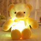 🎊Fröhliches Neujahr! 50% auf alles ⏰ 🧸Teddybär, buntes LED-Licht, Stofftiere