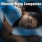 Ohrstöpsel mit UV-C Sterilisations-Etui – Für gesunden Schlaf & Hygiene, inkl. Ladecase gegen Schnarchen & Lärm 🛌🔇✨