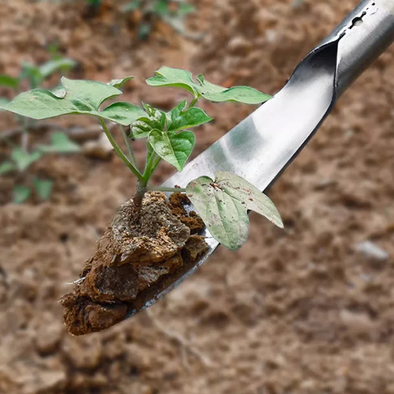 Kleiner Garten- und Pflanzspaten – Ideal für Pflanzenpflege, Kräutersammeln und Gartenarbeit🌱🧑‍🌾