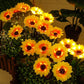🌻✨ Lebensechte Blüten, IP65 wasserdicht & automatische Dämmerungssensor (8-12h Leuchtdauer)