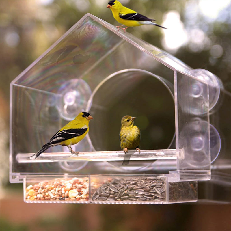 Transparenter Acryl-Vogelfutterspender zum Aufhängen – Für Garten & Balkon 🐦🌿