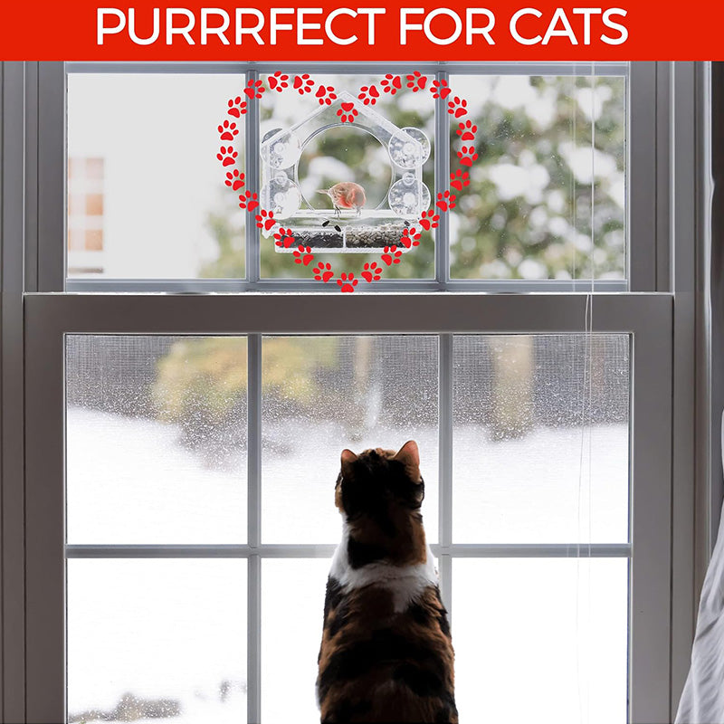 Transparenter Acryl-Vogelfutterspender zum Aufhängen – Für Garten & Balkon 🐦🌿