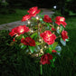 Solar-LED Blüten-Bodeneinstecker – Rhododendron Blumenleuchte für Garten & Terrasse🌺💡