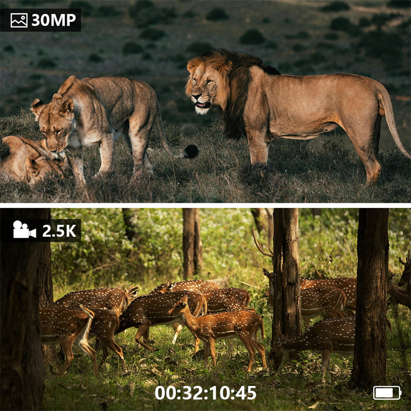 HD-Nachtsichtgerät mit großem Bildschirm – binokular, tragbar & aufnahmefähig (Foto/Video) – ideal für Outdoor, Tierbeobachtung & Sicherheit📹🌙