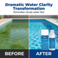Schwimmbadreinigungsflüssigkeit – effektiv gegen Algen & Trübungen – für klare, hygienisch saubere Becken – ideal für Aufstell- & Folienbecken🏊‍♂️💧