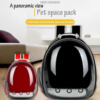 Panorama-Haustierrucksack mit Sichtfenster – lichtdurchlässig & belüftet – große Kapazität, ideal für Katzen & Hunde unterwegs🐾🎒