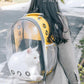 Panorama-Haustierrucksack mit Sichtfenster – lichtdurchlässig & belüftet – große Kapazität, ideal für Katzen & Hunde unterwegs🐾🎒