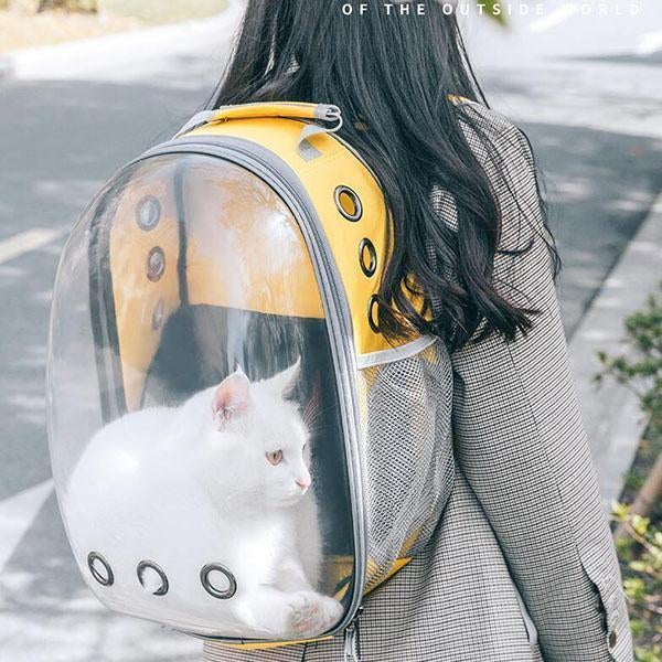 Panorama-Haustierrucksack mit Sichtfenster – lichtdurchlässig & belüftet – große Kapazität, ideal für Katzen & Hunde unterwegs🐾🎒