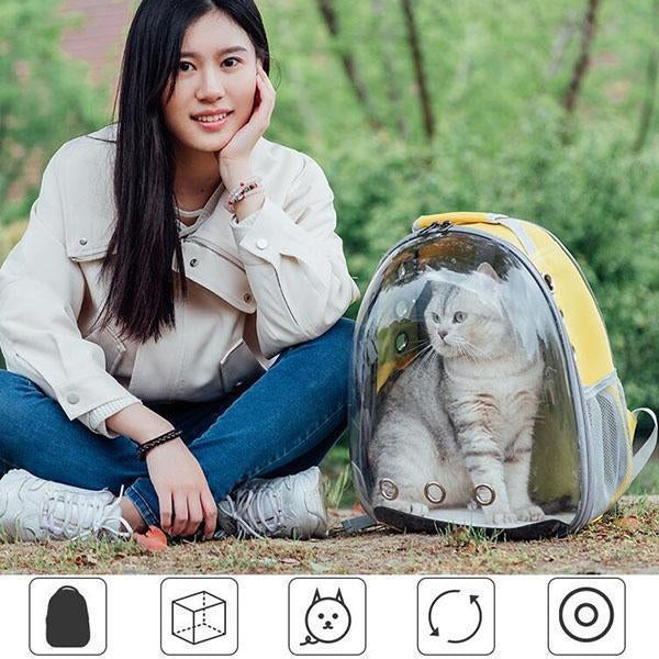 Panorama-Haustierrucksack mit Sichtfenster – lichtdurchlässig & belüftet – große Kapazität, ideal für Katzen & Hunde unterwegs🐾🎒