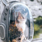 Panorama-Haustierrucksack mit Sichtfenster – lichtdurchlässig & belüftet – große Kapazität, ideal für Katzen & Hunde unterwegs🐾🎒