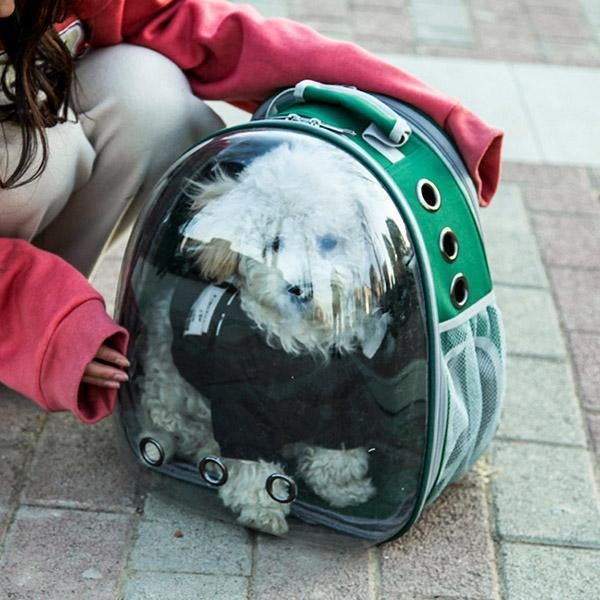 Panorama-Haustierrucksack mit Sichtfenster – lichtdurchlässig & belüftet – große Kapazität, ideal für Katzen & Hunde unterwegs🐾🎒