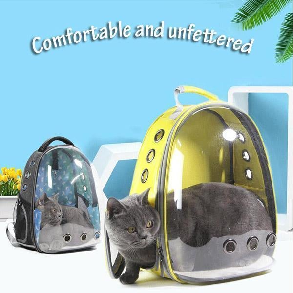 Panorama-Haustierrucksack mit Sichtfenster – lichtdurchlässig & belüftet – große Kapazität, ideal für Katzen & Hunde unterwegs🐾🎒