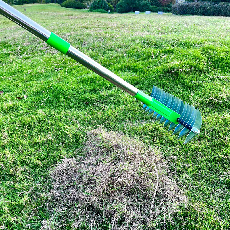 Vielseitiger Rasenrechen – für Moos, Laub & Belüftung – entfernt Rasenfilz, lockert den Boden – ideal für Gartenpflege