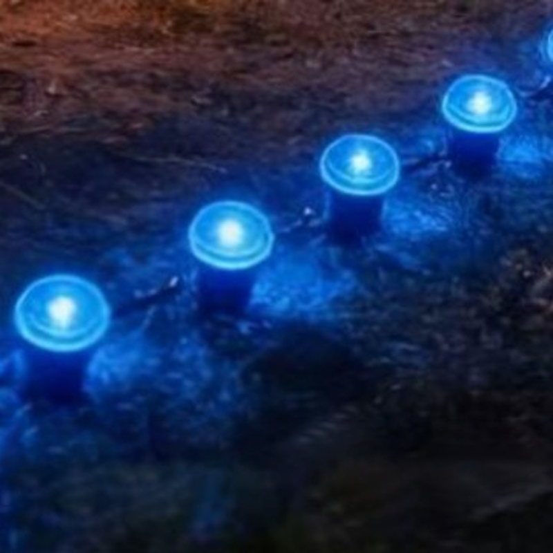 ☀️✨ Solar-LED-Deko-Set – blaue Lichterkette & Bodenspikes für Garten, Weg & Beet, wasserfest & automatisch🌿