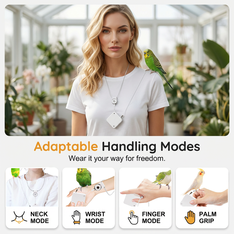 Leichte automatische Vogelleine für Papageien – mit Gurtband, schützt die Füße – ideal für Ausflüge mit Wellensittichen, Nymphensittichen & Co.🦜🌿