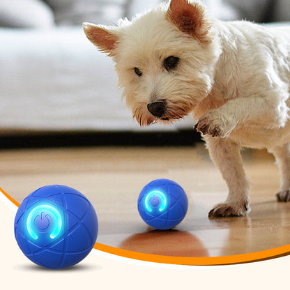 Interaktiver Hüpfball für Hunde – fördert Bewegung & Spieltrieb – robust, sicher & ideal für den Innen- und Außenbereich🐶⚽