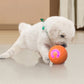 Interaktiver Hüpfball für Hunde – fördert Bewegung & Spieltrieb – robust, sicher & ideal für den Innen- und Außenbereich🐶⚽
