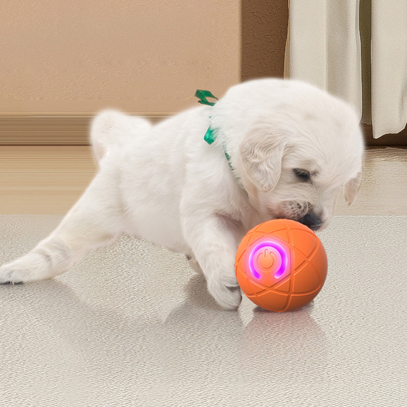 Interaktiver Hüpfball für Hunde – fördert Bewegung & Spieltrieb – robust, sicher & ideal für den Innen- und Außenbereich🐶⚽