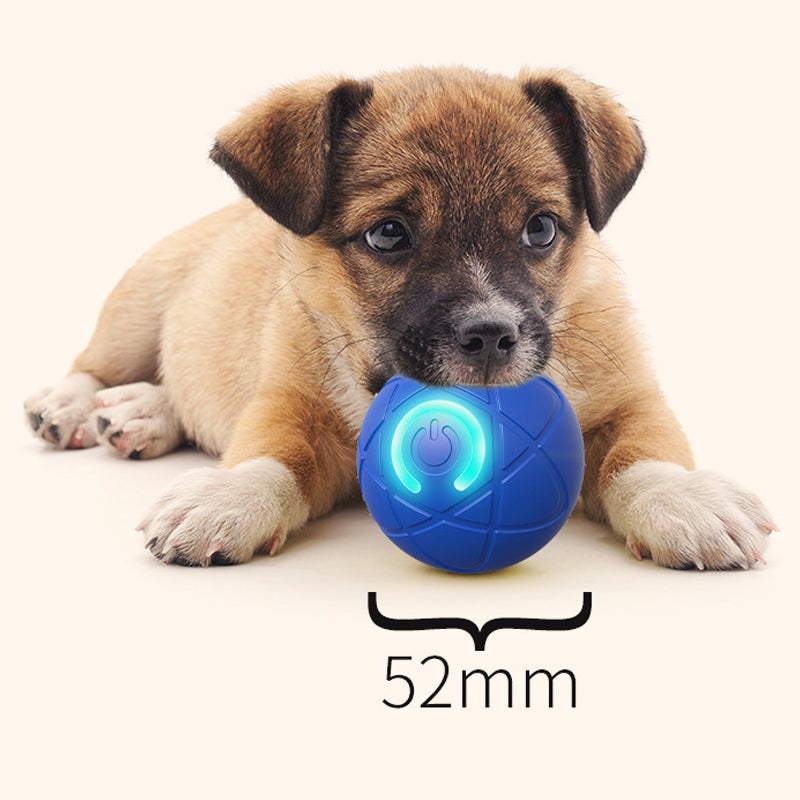 Interaktiver Hüpfball für Hunde – fördert Bewegung & Spieltrieb – robust, sicher & ideal für den Innen- und Außenbereich🐶⚽