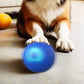 Interaktiver Hüpfball für Hunde – fördert Bewegung & Spieltrieb – robust, sicher & ideal für den Innen- und Außenbereich🐶⚽