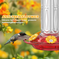 Hängender Kolibri-Futterspender mit Ameisenschutz – wetterfest, einladend & praktisch – ideal für Garten, Balkon & Terrasse🐦🌺