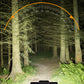 🚲💡 LED-Fahrrad-Frontlicht mit Hupe – Wasserdichtes, wiederaufladbares Licht für Nachtfahrten und Mountainbike