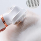 🐕 50 % Rabatt - 3-in-1-Dampfbürste für Haustiere – sanfte Dampfreinigung gegen Gerüche, Bakterien & loses Fell 🌿 – ohne Chemie