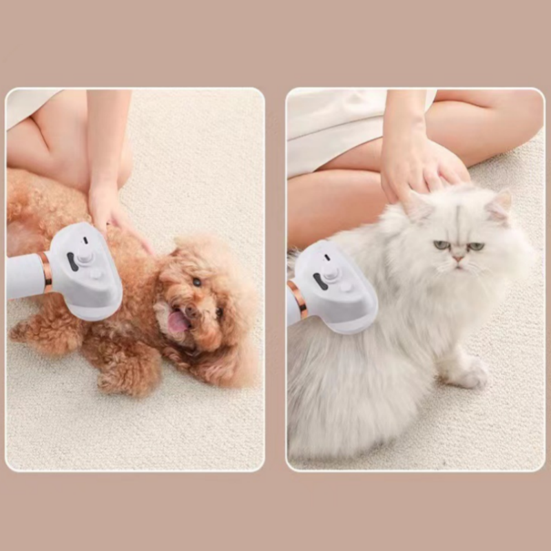 🐕 50 % Rabatt - 3-in-1-Dampfbürste für Haustiere – sanfte Dampfreinigung gegen Gerüche, Bakterien & loses Fell 🌿 – ohne Chemie