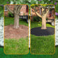 🌿🏡 Schwarze Rasenkante aus PE-Kunststoff – Flexible Gartenbegrenzung für Rasen, Beete und Wege