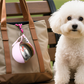 💧 50 % Rabatt – Tragbarer Falt-Trinkbecher aus 304er Edelstahl – BPA-frei, leicht zu reinigen & mit praktischem Tragegriff – für Hunde & Katzen ✨