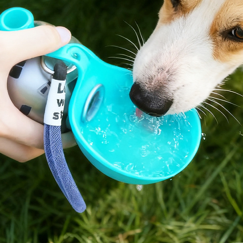 💧 50 % Rabatt – Tragbarer Falt-Trinkbecher aus 304er Edelstahl – BPA-frei, leicht zu reinigen & mit praktischem Tragegriff – für Hunde & Katzen ✨