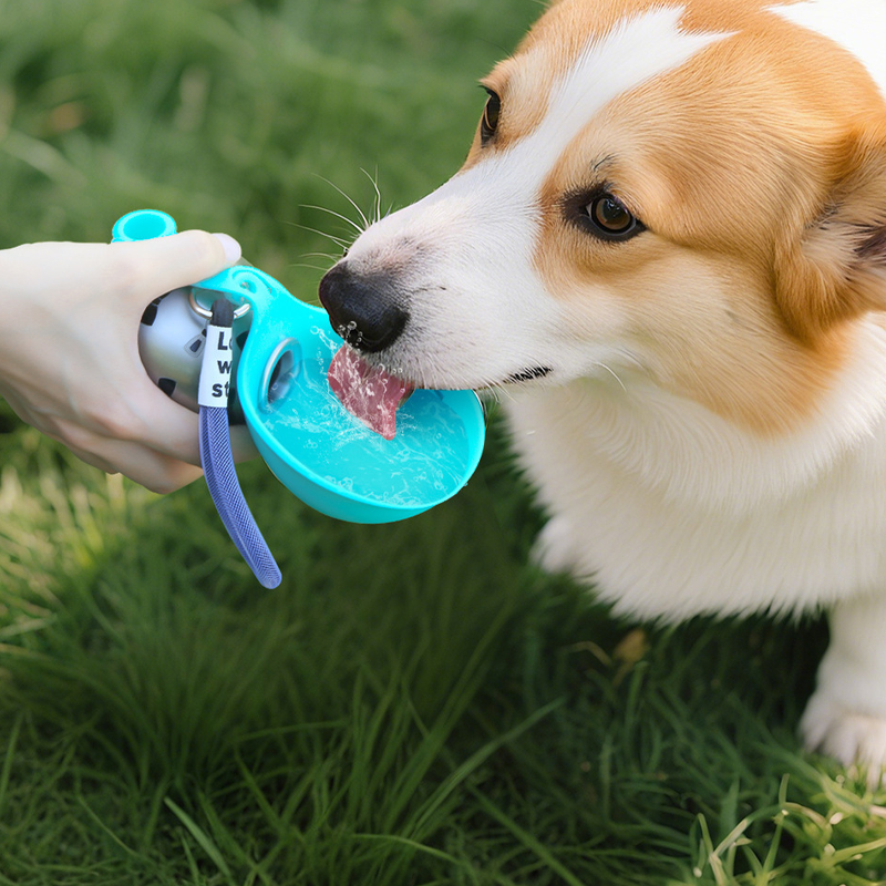 💧 50 % Rabatt – Tragbarer Falt-Trinkbecher aus 304er Edelstahl – BPA-frei, leicht zu reinigen & mit praktischem Tragegriff – für Hunde & Katzen ✨