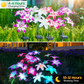 Solarleuchte mit vier Dahlienköpfen – wasserdicht, kabellos & dekorativ – ideal für Garten, Terrasse & Rasen – stimmungsvolle Außenbeleuchtung🌸💡