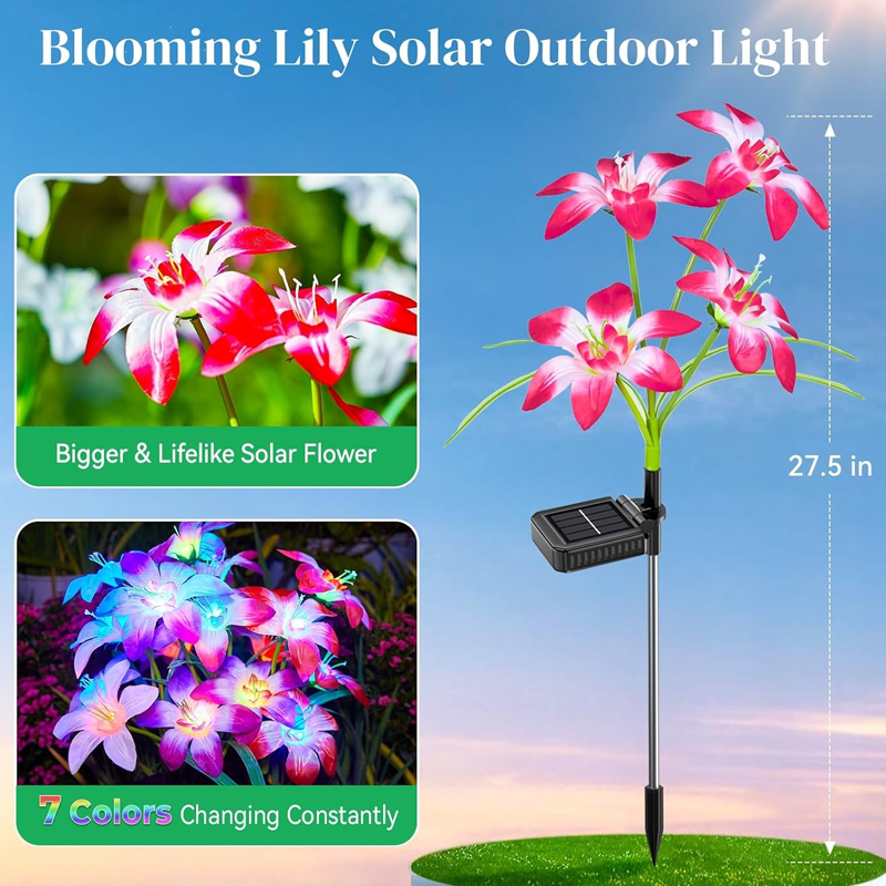 Solarleuchte mit vier Dahlienköpfen – wasserdicht, kabellos & dekorativ – ideal für Garten, Terrasse & Rasen – stimmungsvolle Außenbeleuchtung🌸💡