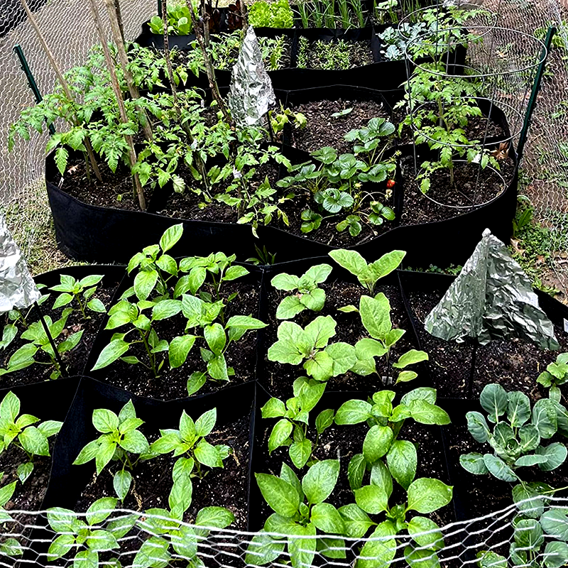 Pflanzsack aus Stoff mit Unterteilungen – Atmungsaktiv & Wiederverwendbar 🌿 Für Gemüse & Blumen🌿