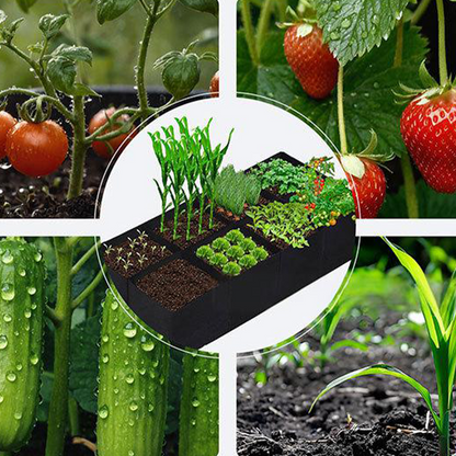 Pflanzsack aus Stoff mit Unterteilungen – Atmungsaktiv & Wiederverwendbar 🌿 Für Gemüse & Blumen🌿